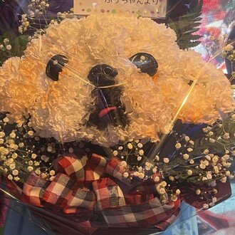 ラーメン大好きやごじさん