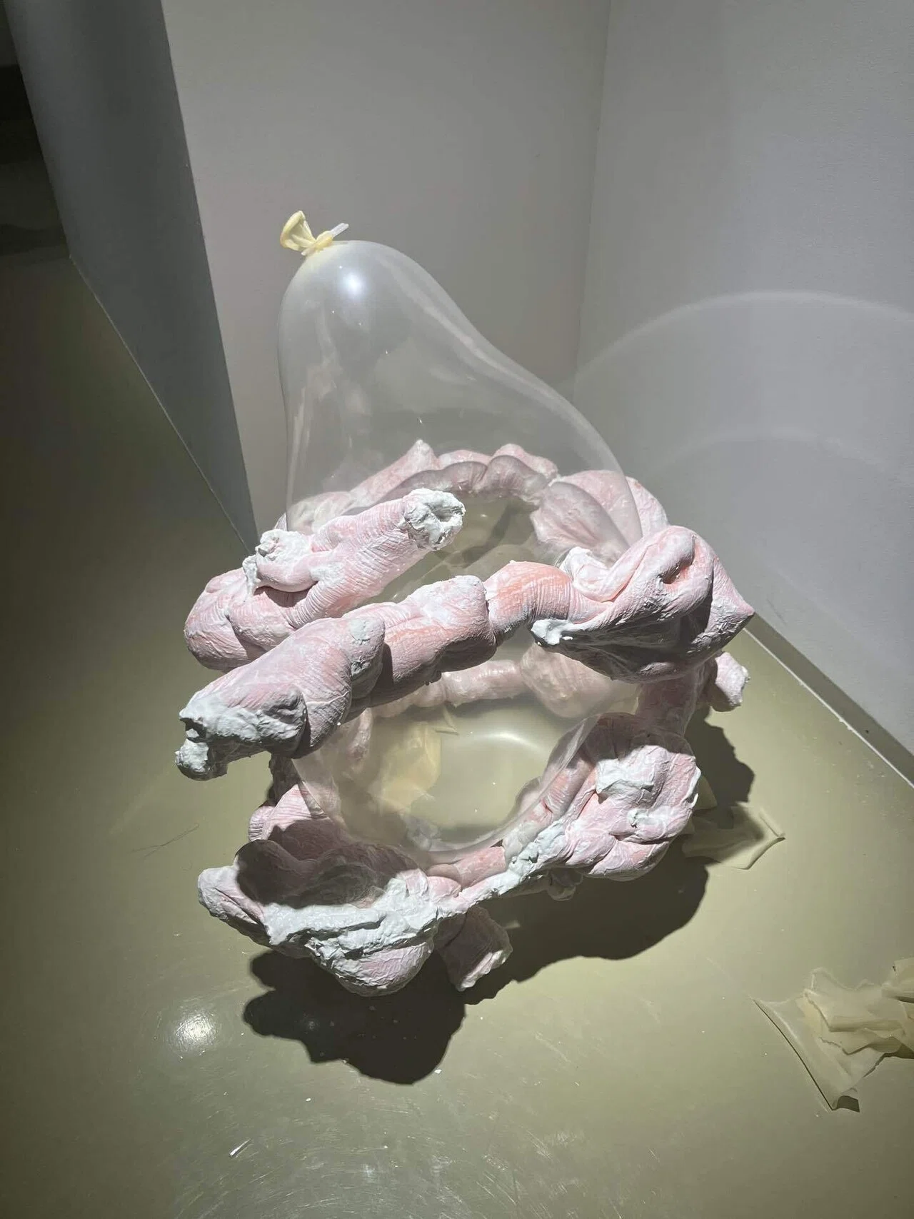 鈴木操「fortunes」TAV GALLERY｜菊池遼