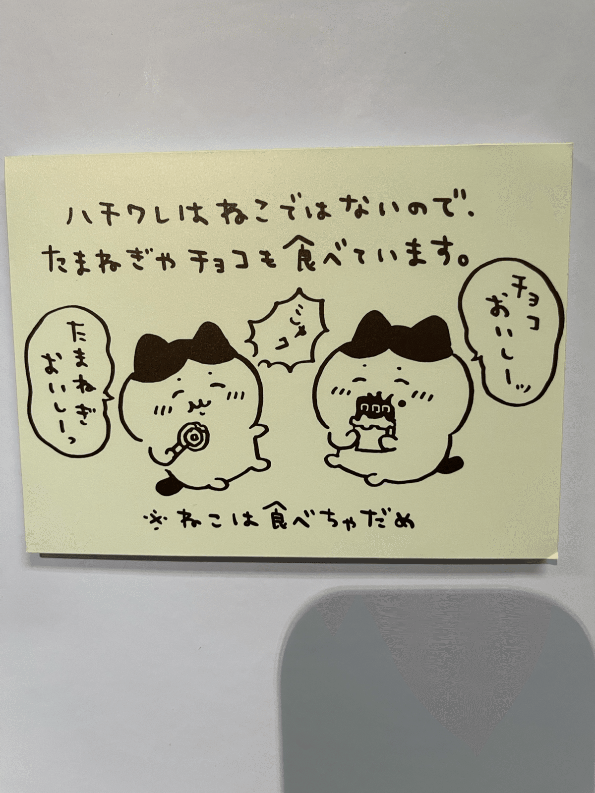 ハチワレ×猫の日😺｜SAKIOHKA