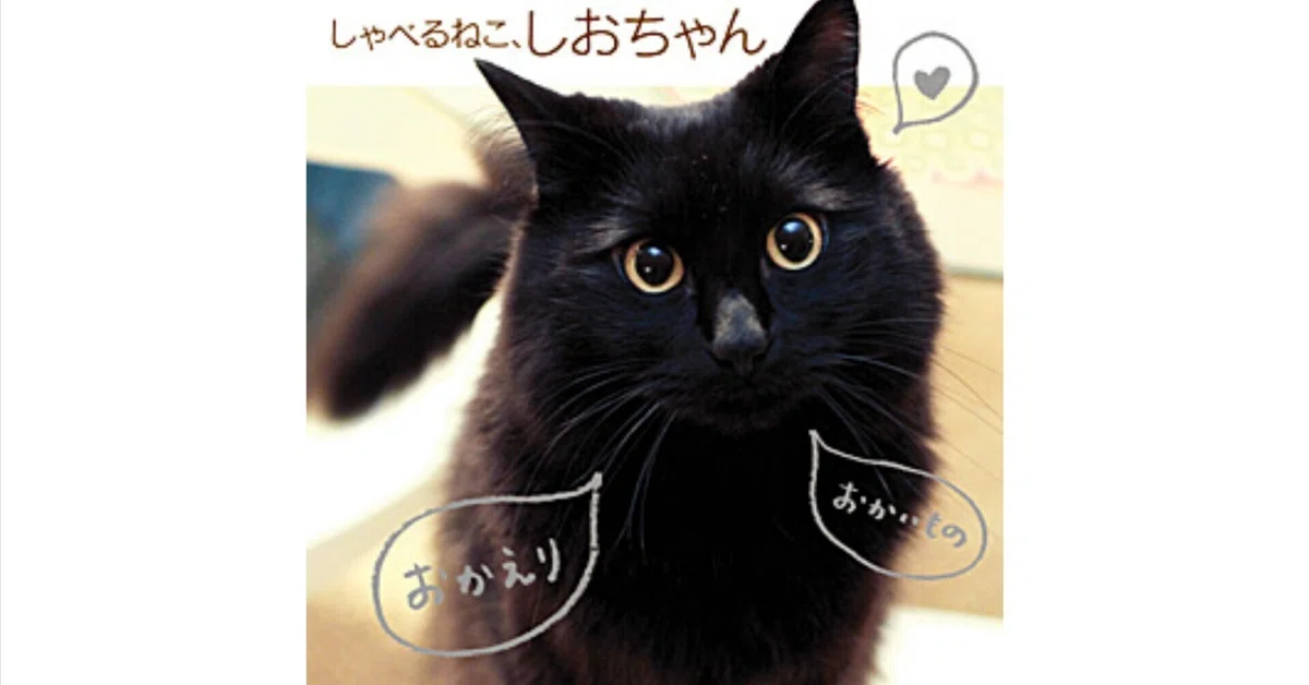 ニコニコまいちゃん様 リクエスト 5点 まとめ商品 【公式通販】