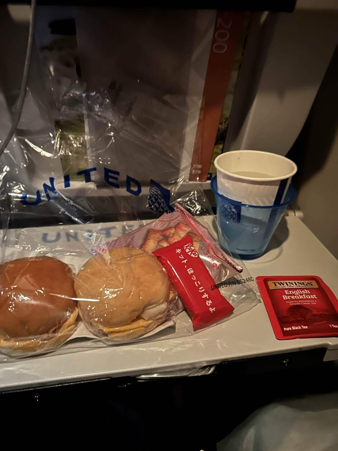 ユナイテッド航空 羽田〜ニューアーク〜ボストン レポ✈️｜かぼちゃの