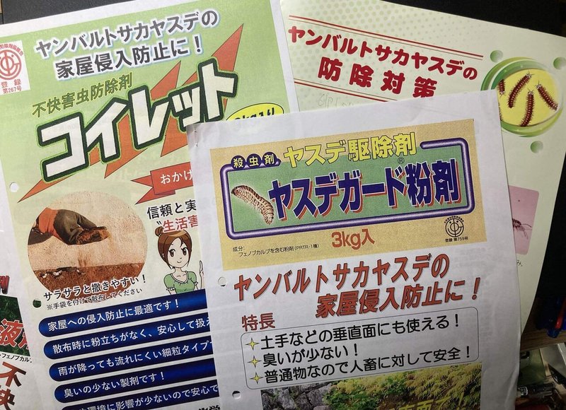 ヤンバルトサカヤスデ|小薗郁也