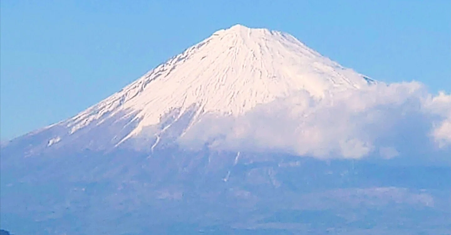 富士形三保の松原向付　12cm　10客　幕末〜大正期 東海編②【三保松原の富士山はデカかった】BRZ紀行｜haruonopapa