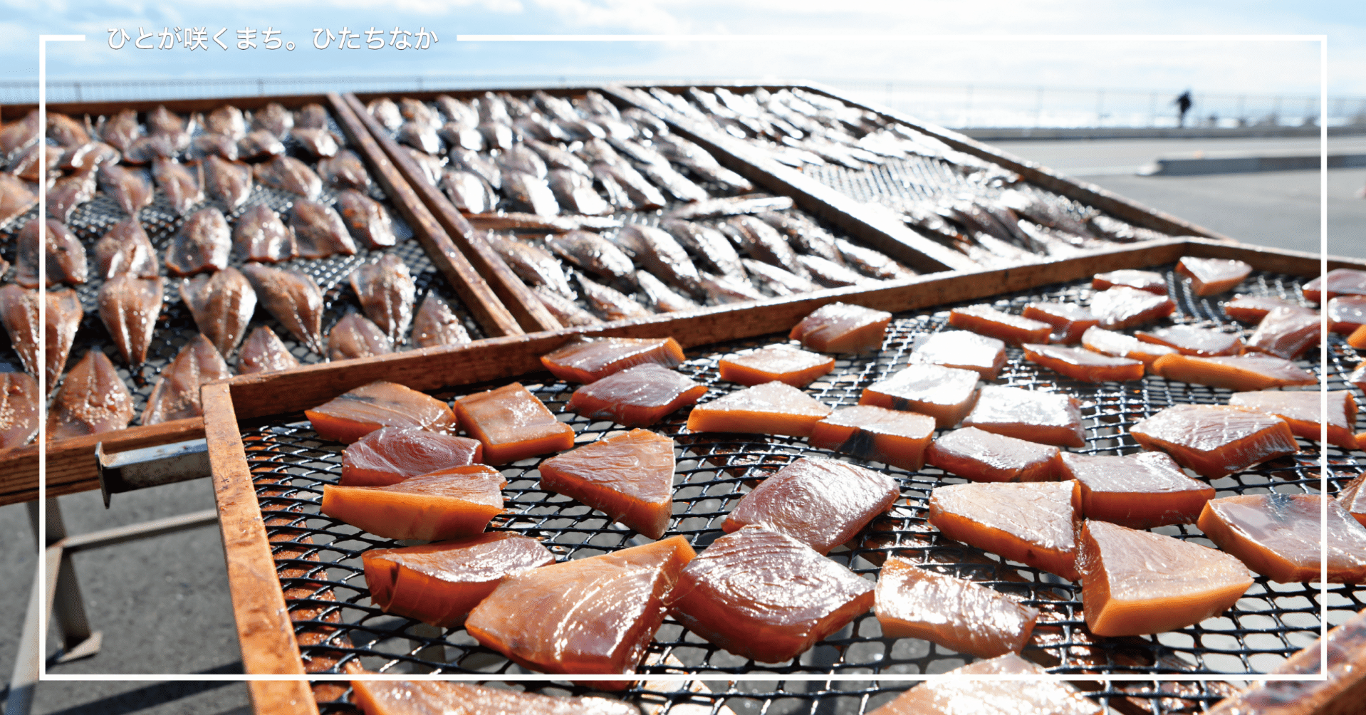 大喜や×磯のひもの ざらめ醤油仕込み｜ひたちなか市公式note｜茨城県