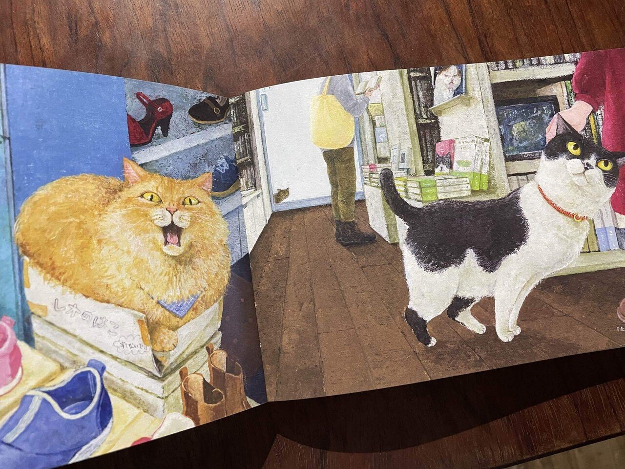 今週のおすすめ本 vol.7 『猫の本』｜古本と新刊scene