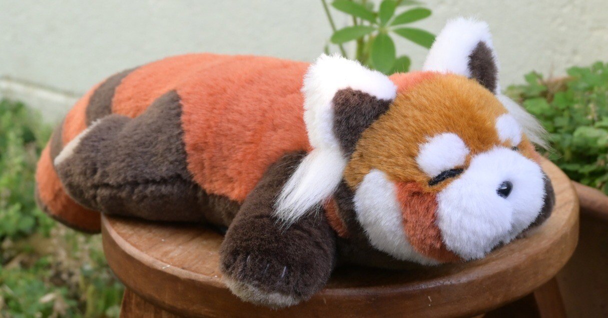 9 ぬいぐるみ制作講座ー難し編ー レッサーパンダの型紙※修正