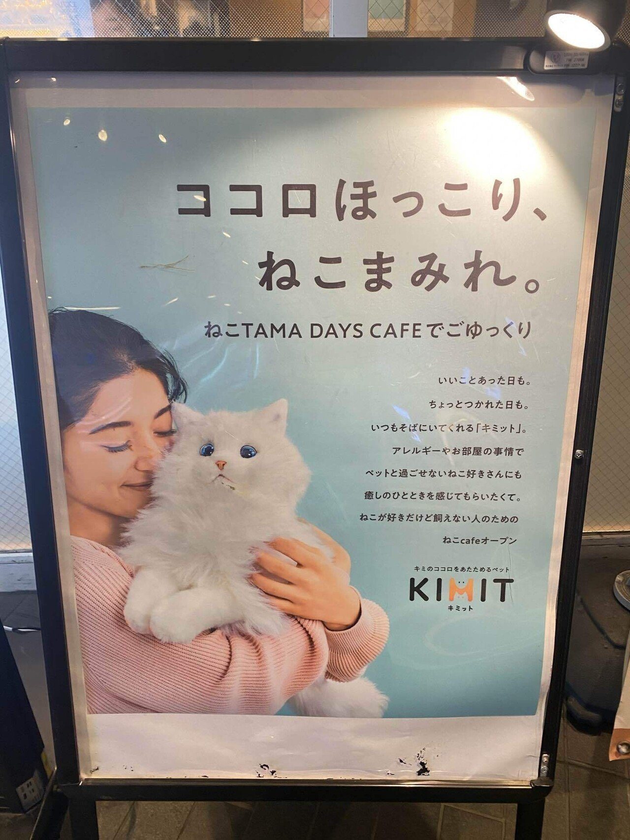 値下げしました！ネコロボット KIMIT（キミット）追記必読