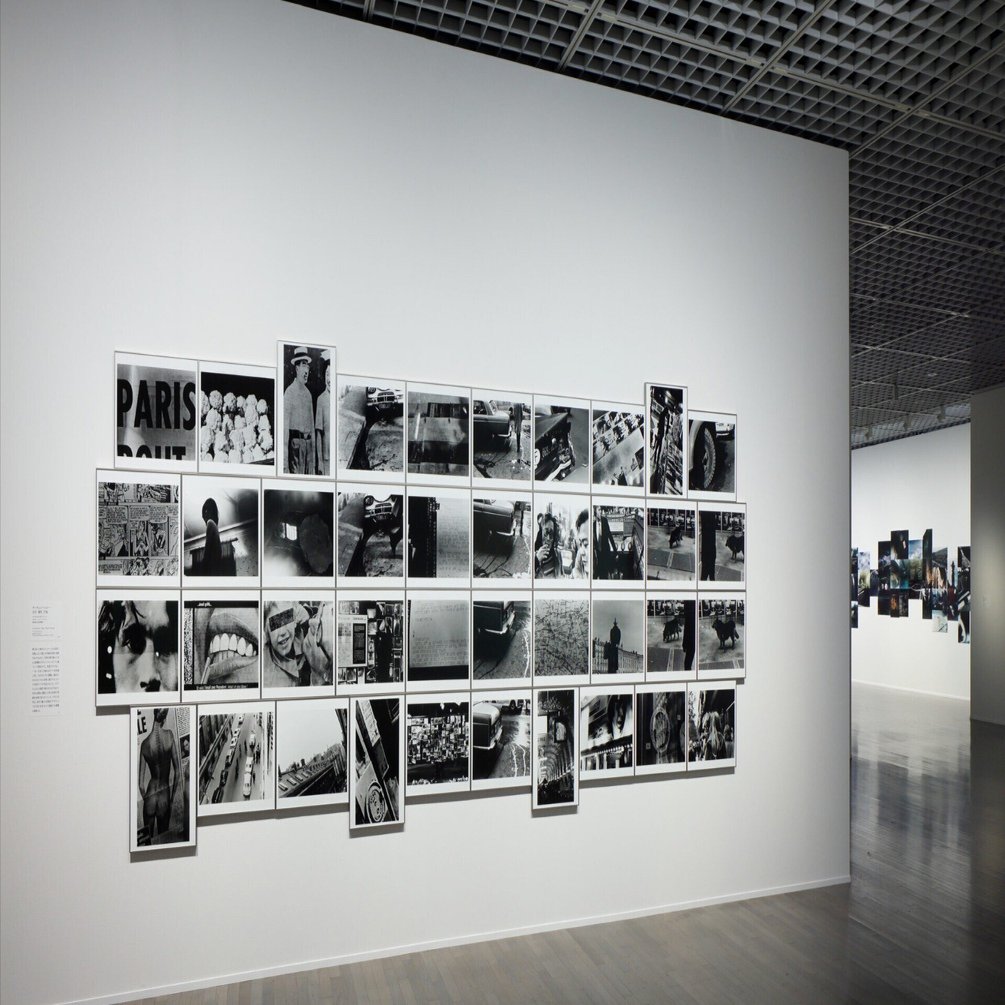 中平卓馬 火｜氾濫｜なばちた野絵