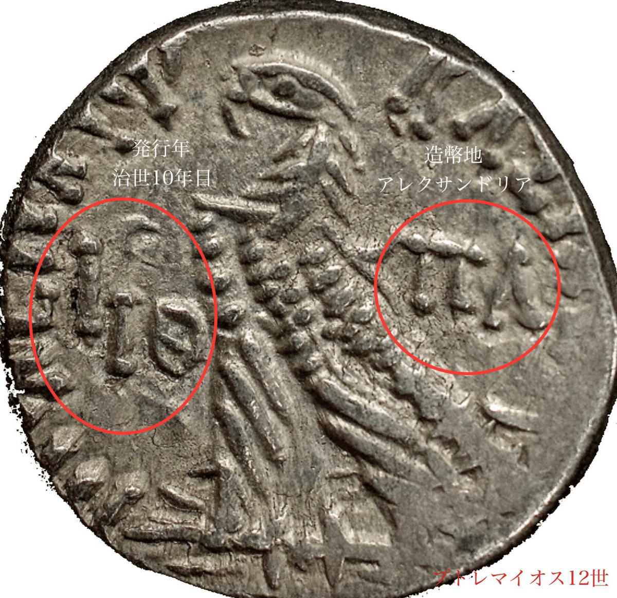 マクシミヌス 2 世アエ・フォリスのローマ硬貨 - アレクサンドリア造幣局 金貨やアンティークコインの販売｜ヌミスマアカデミー｜[(283)古代エジプト  プトレマイオス2世「オクトドラクマ金貨」紀元前280年ご頃「XF 5/5, 4/5 FINE STYLE」!!!]