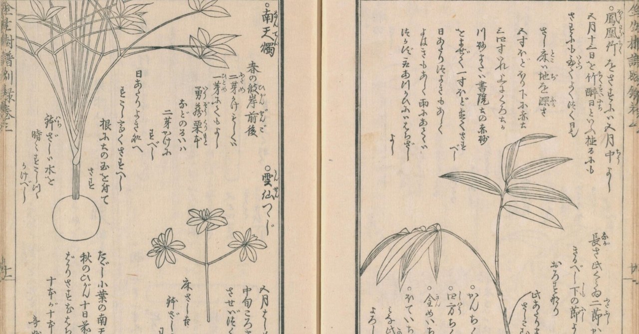 和本 金生樹譜 上中下 3冊組 盆栽