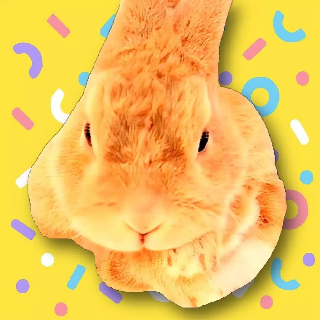 いろはまる🐇IT苦手子育てリモートCTO