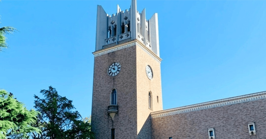 青本　早稲田大学　文化構想学部　2004年～2024年　21年分　駿台予備学校 青本 早稲田大学 文化構想学部 2004年～2024年 21年分 駿台予備