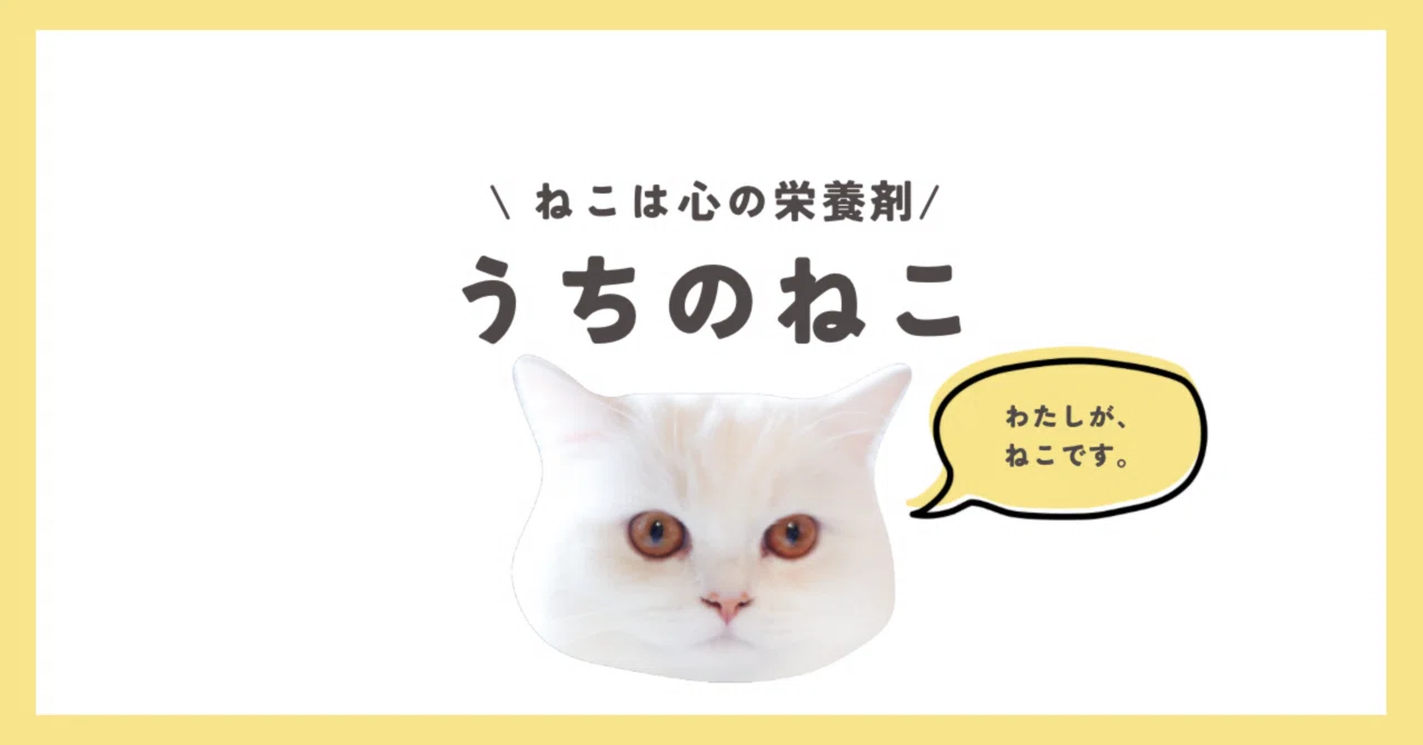 にゃんにゃんにゃんの日｜秋月雅｜撮る美容｜京都・東京