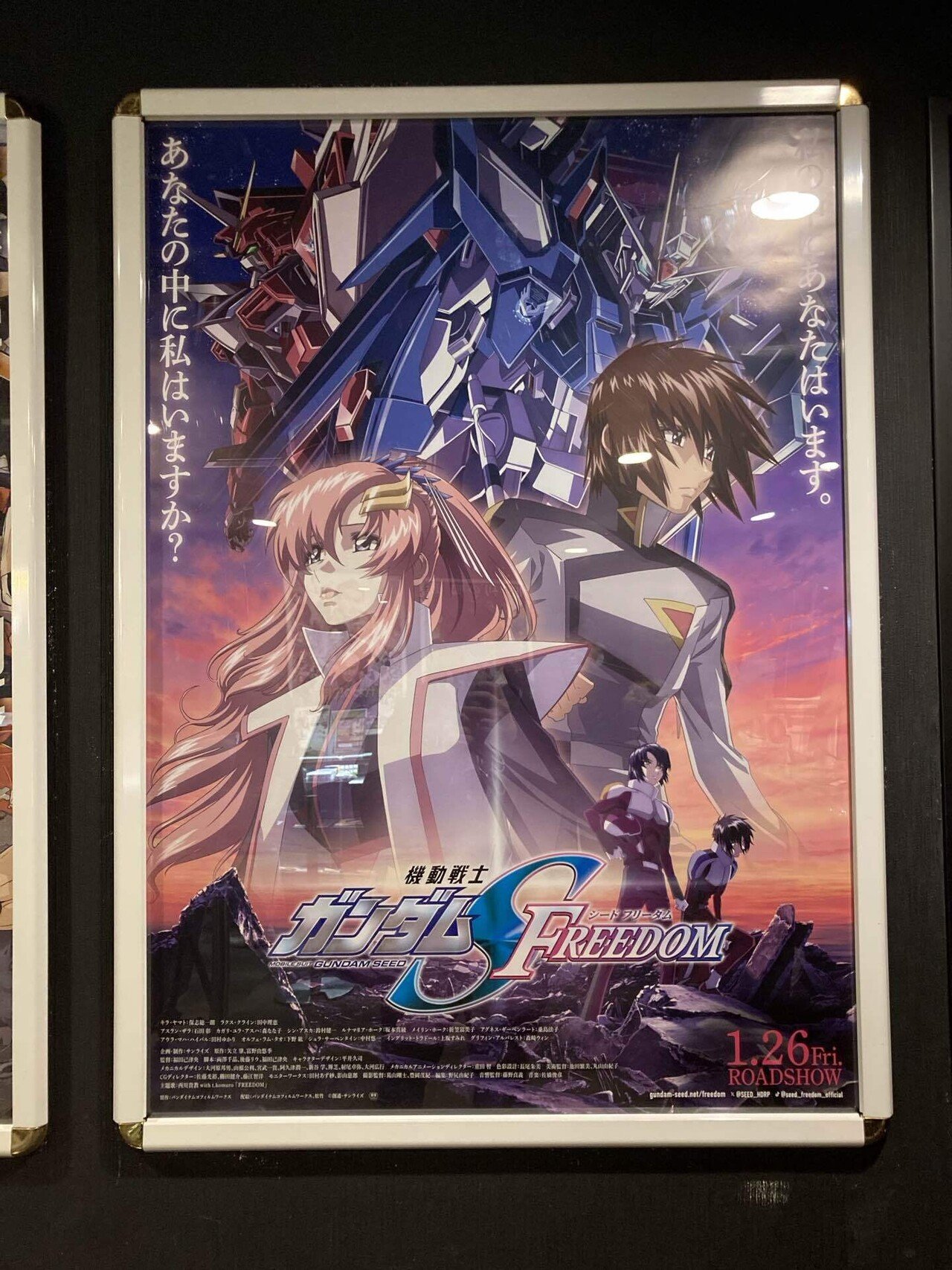 ガンダム 問 戦士 セル版 機動戦士ガンダムSEED+DESTINY+OVA 全