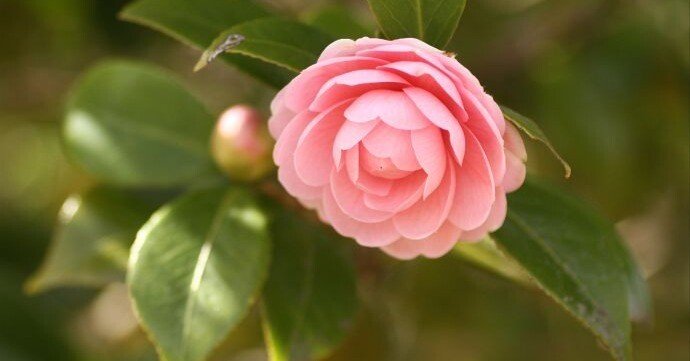 84755d28b577c11fff53f5f3b49f4e