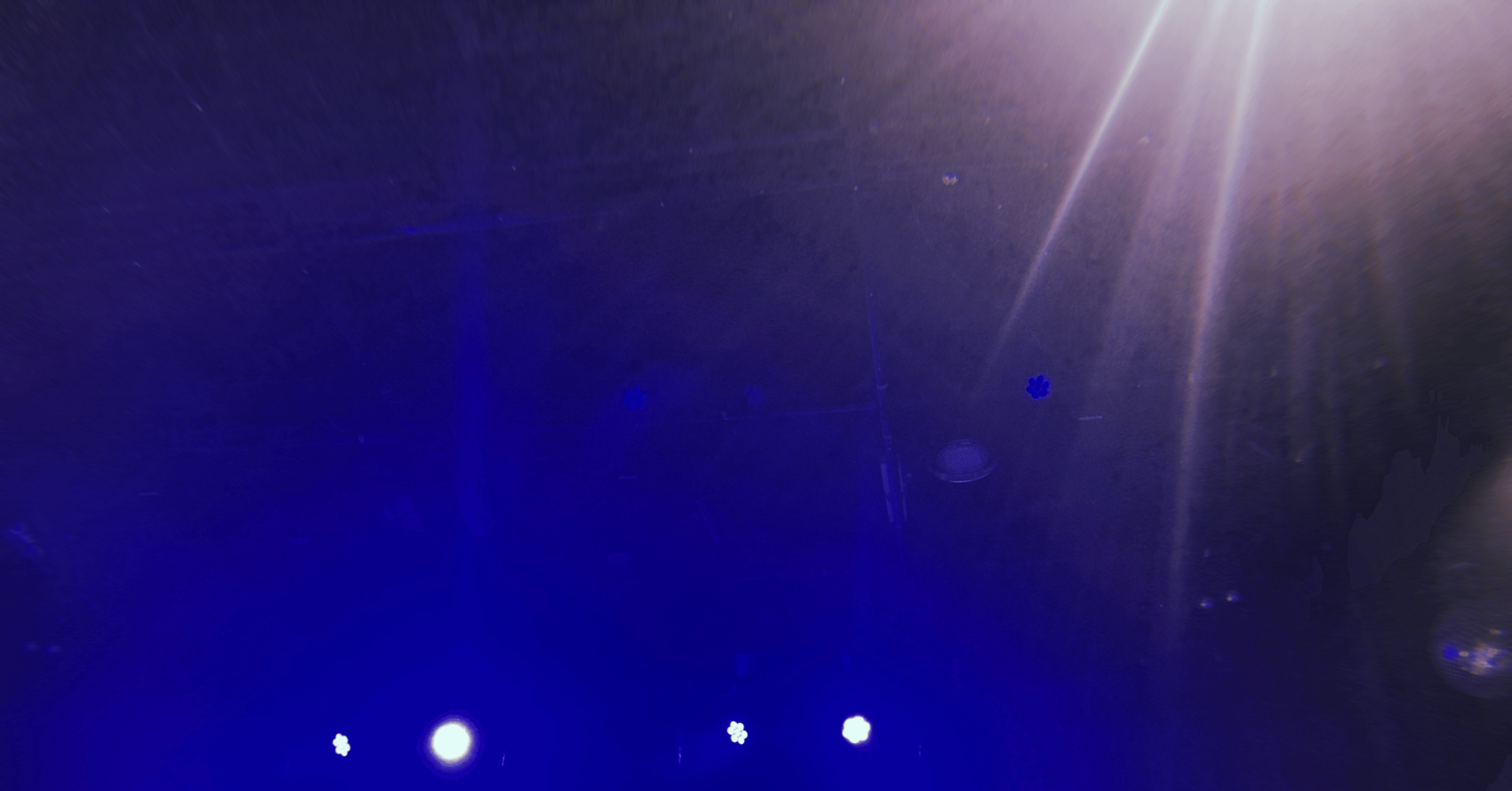 ライブ】代官山が遊泳区に 拳をかかげ声を枯らした龍宮城FCライブの話