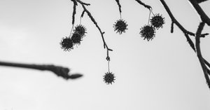 最終値下!RICOH GX200 シャッター1748回! 最終値下!RICOH GX200 最終値下!RICOH GX200 シャッター1748回! 最終値下!RICOH GX200