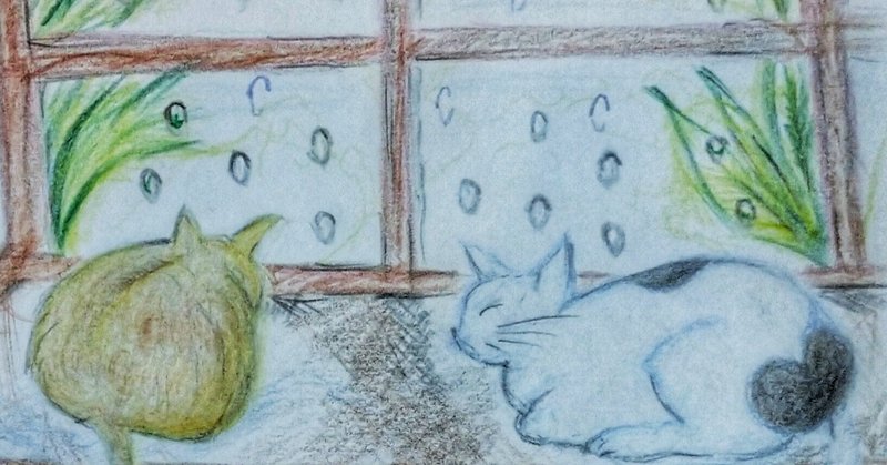 色鉛筆画『雨と猫』