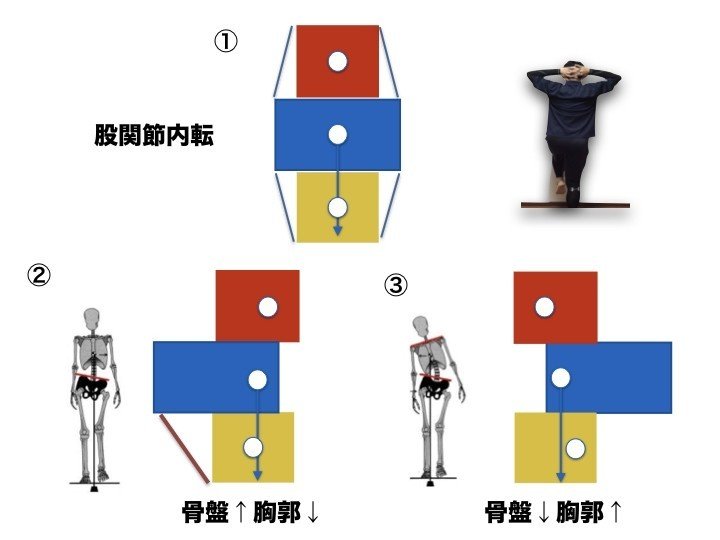 重心バランスシステムシリーズ 「重心バランス軸調整療法Ⅰ 姿勢