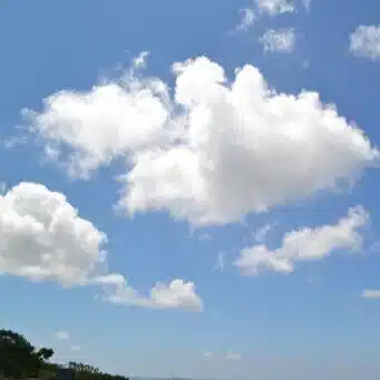 C.ディエム