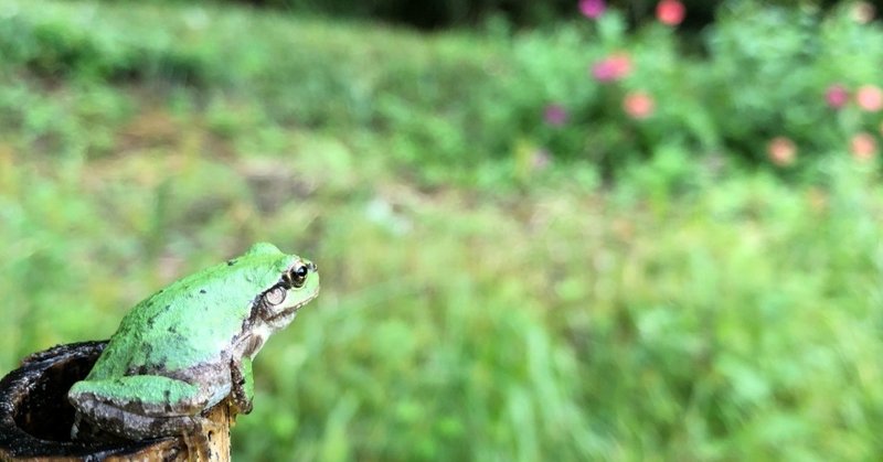 わかりにくい田舎暮らし