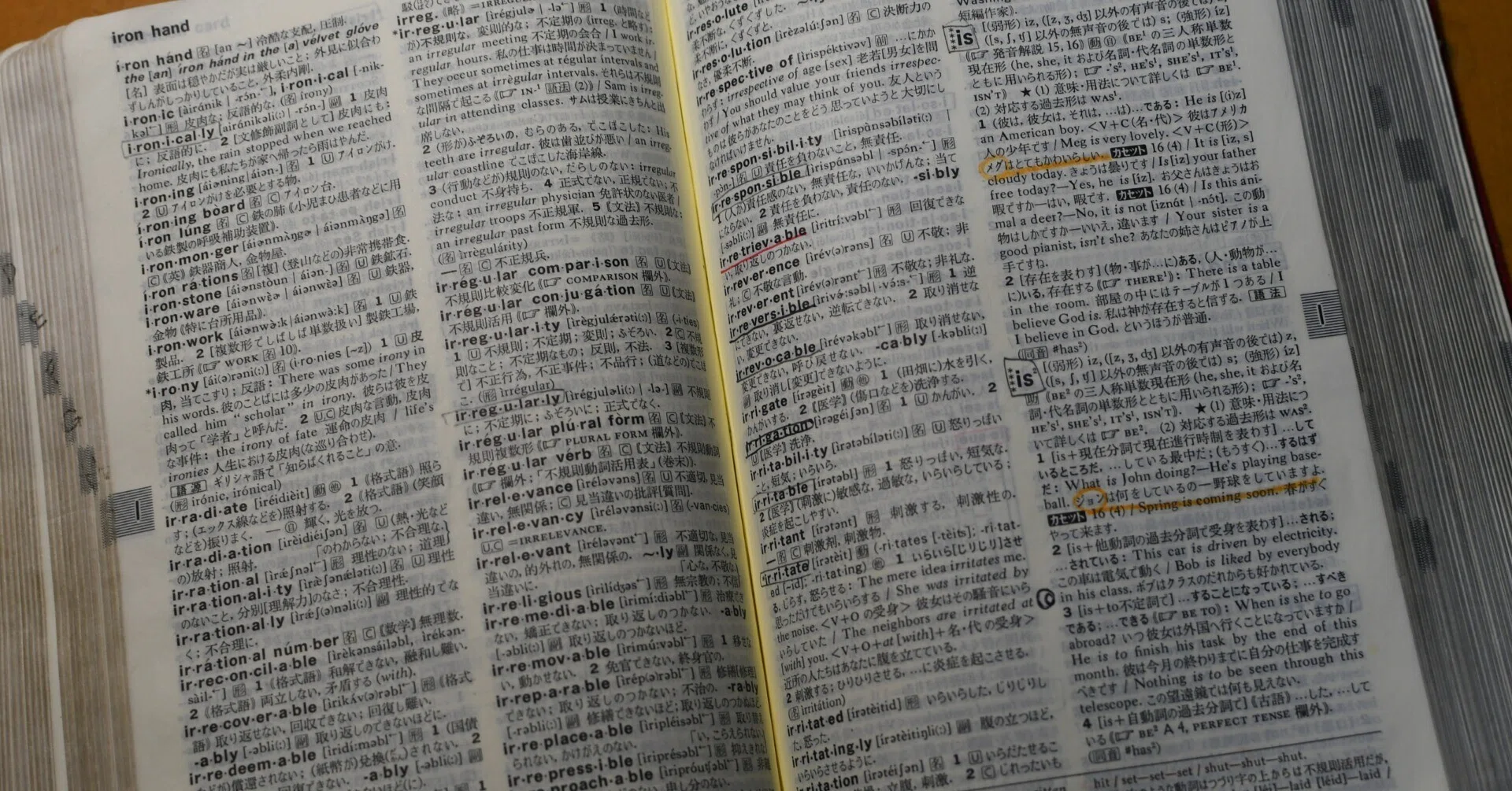 ライトハウス英和辞典で遊ぼう（序章）｜かるがも