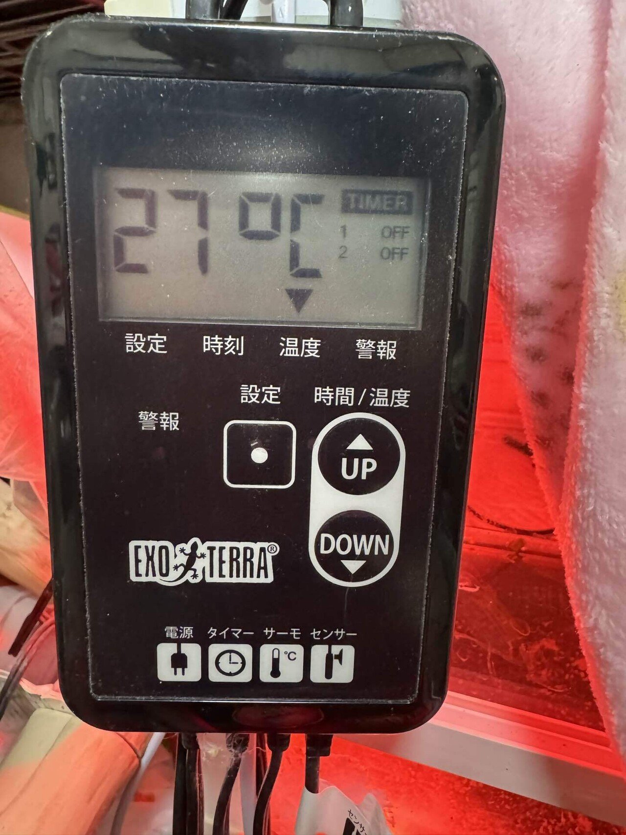 仔がめに使用機材のセッティング｜okui_chan