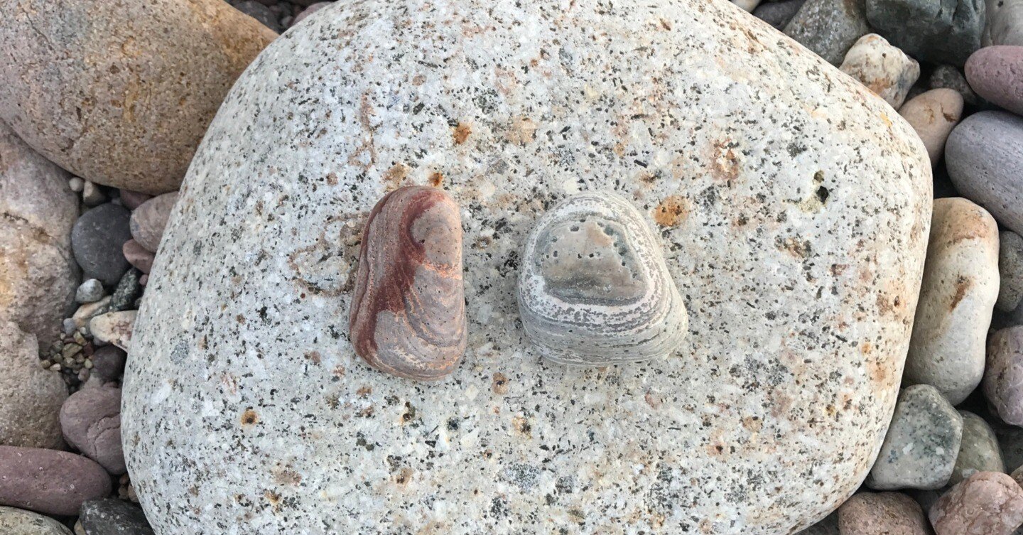 赤、黄、紫の石、三年ぶりの福井の海で石拾い ｜思い出その百十八