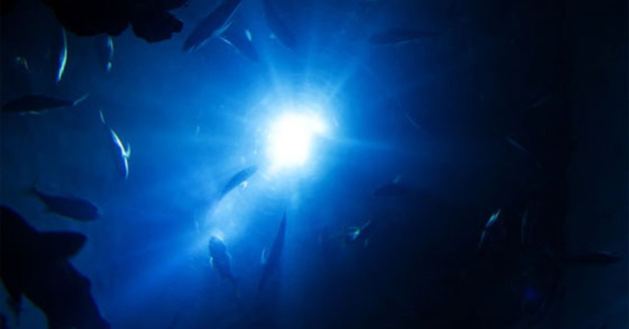 深い海の底に沈んでいくのは寂しい あいかも Note