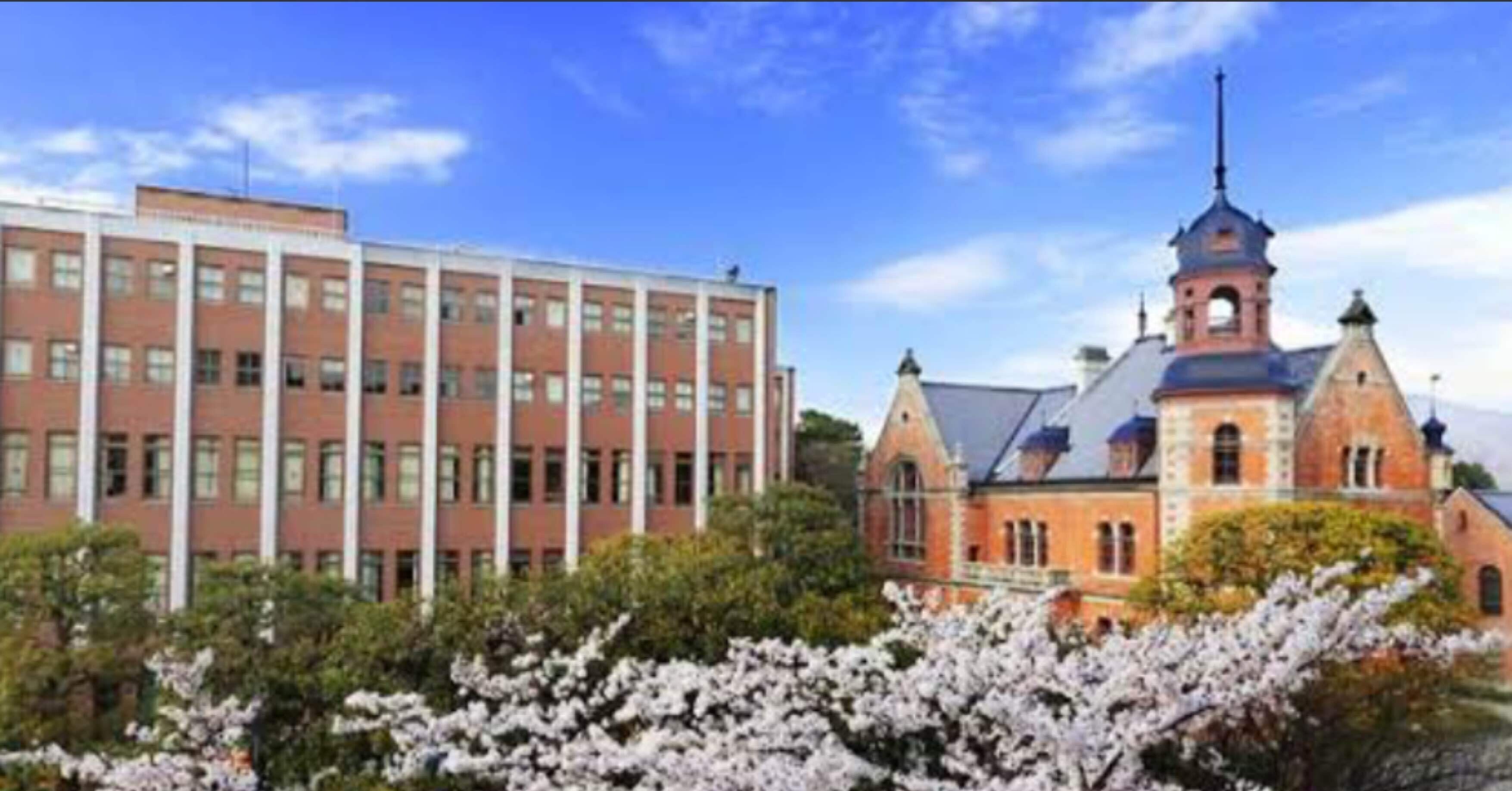 159bf8b38fea206729fa85fb512c18