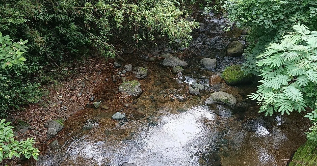 河