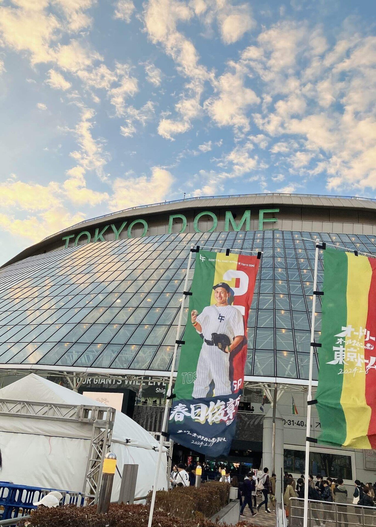 オードリー　東京ドーム　グレー フーディー M オードリー 東京ドーム パーカー グレー M