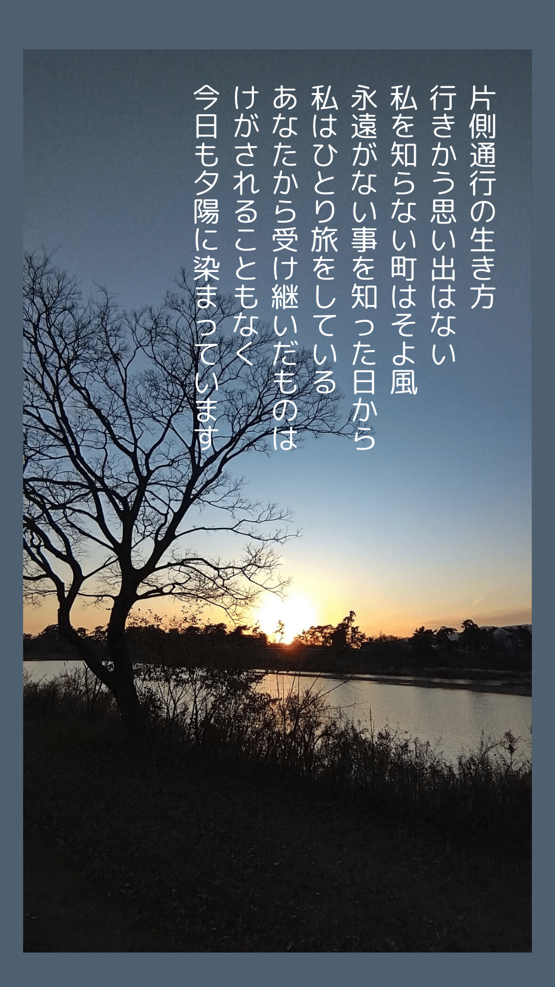 のがみけい　風よ雲　彼は風　ナイルの鷹　さくら詩 のがみけい 風よ雲 彼は風 ナイルの鷹 さくら詩 - 少女漫画