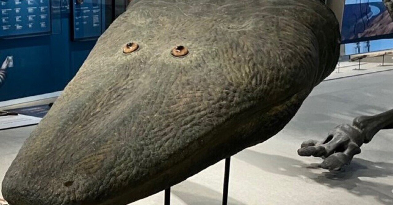 ヤマタノオロチ｜note