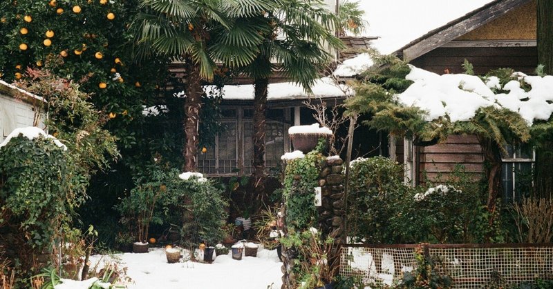 雪、銭湯、神明大人 | '24二月東京#2