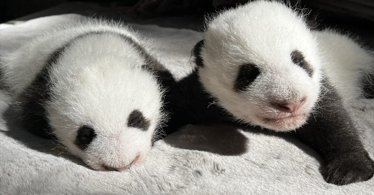 rectangle_large_type_2_20b1fe9