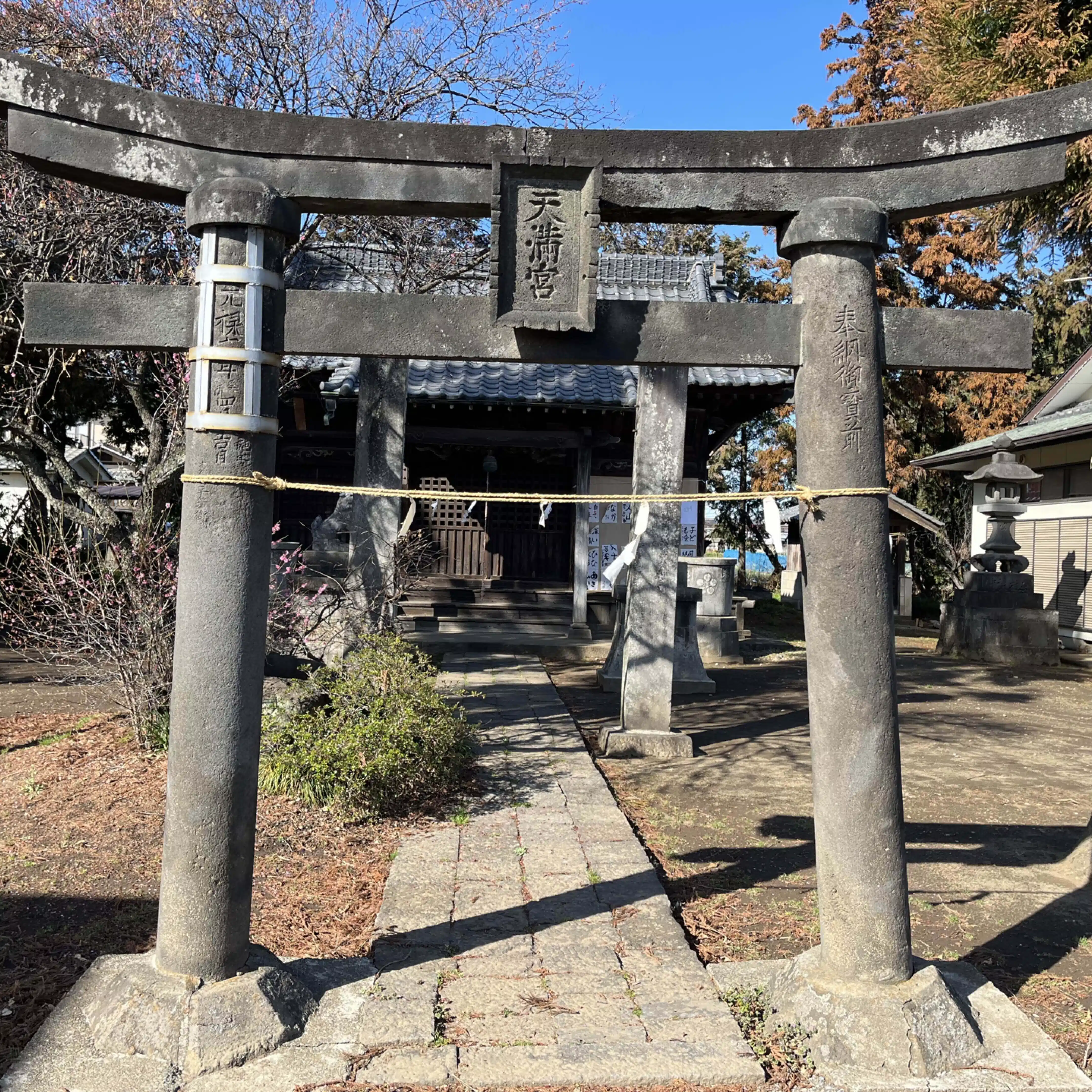 「ご意見番」こうだい
