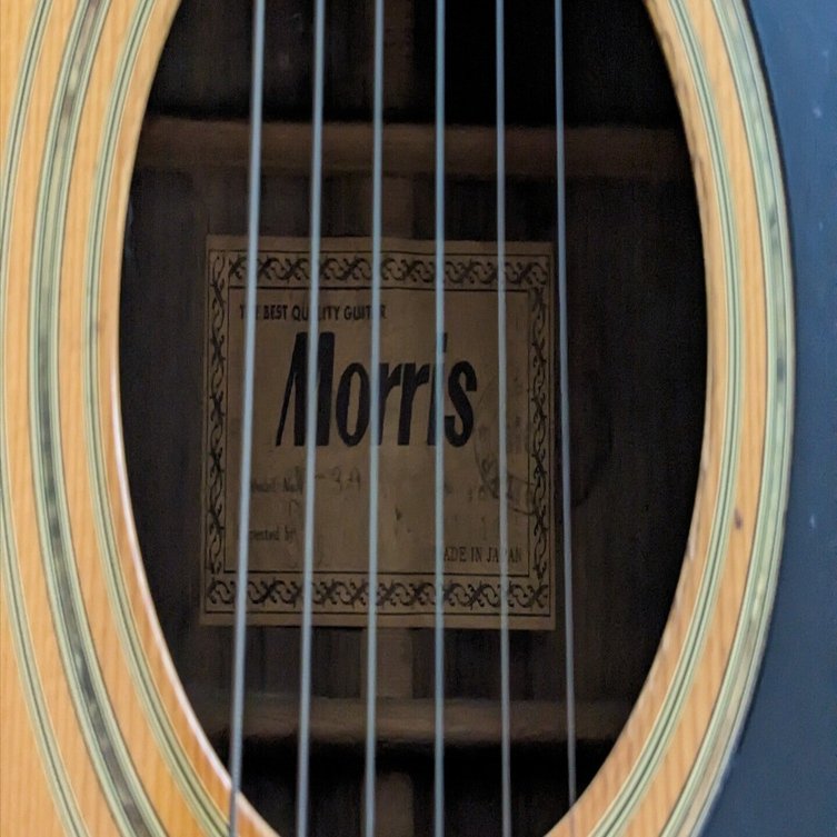 Morris モーリス W-30 アコースティックギター　ケース付　国産 W-30 Morris - ギター大図鑑 PoloPPo