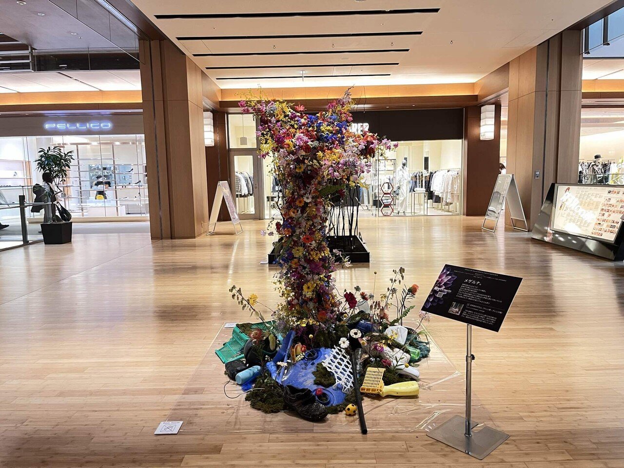 8月イベント　はなはなsaleを継続します。 カービング、タワー、原石、ロングイ 久留米市の石橋文化センターで『初夏の花まつり』が開催中です│LOG