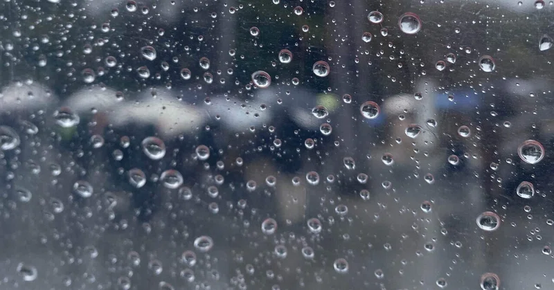 しとしと雨。|いろ