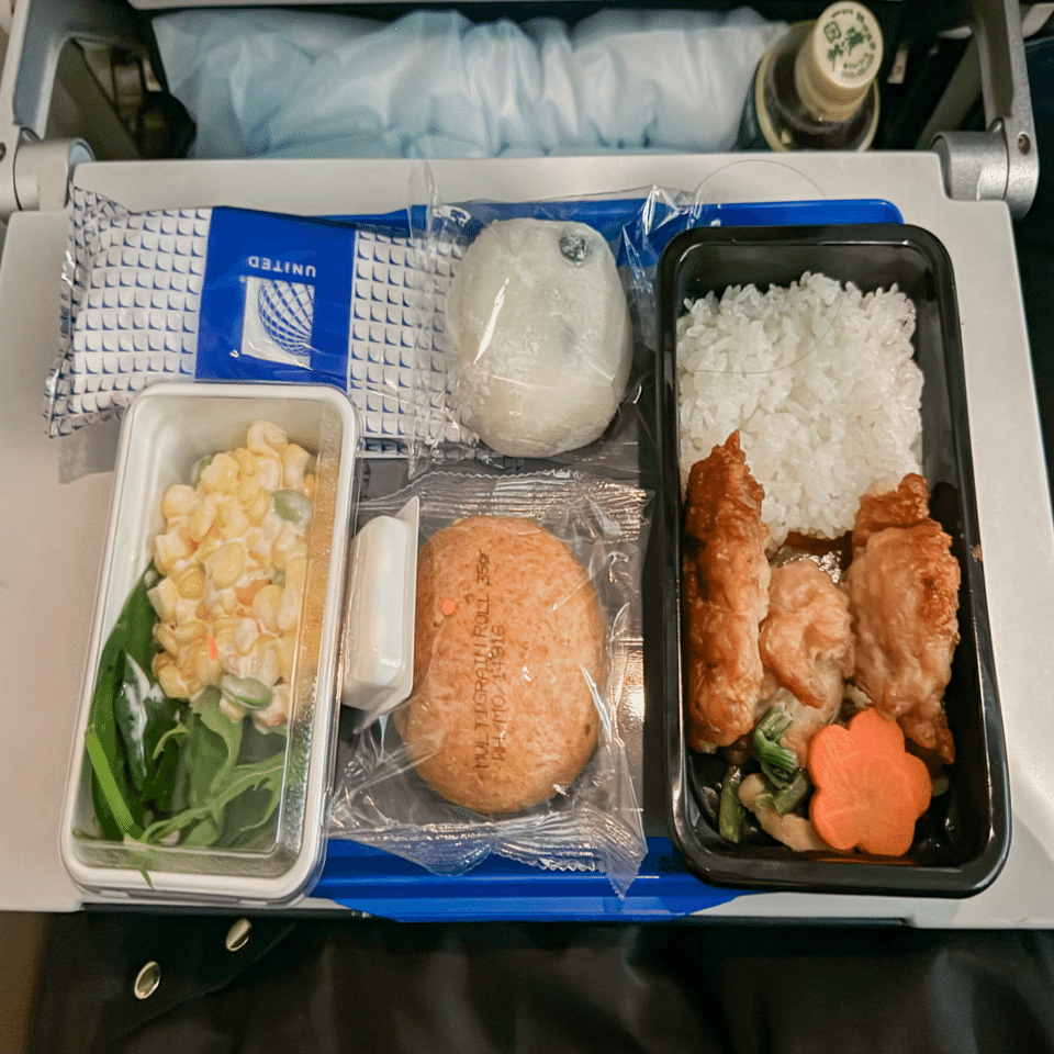 BW＆WDW旅行10日間②〜ユナイテッド航空でアメリカ航路の旅🇺🇸🗽〜｜Happy