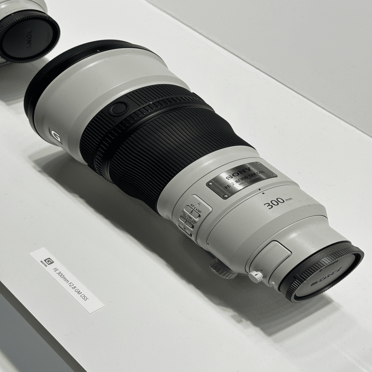 2024年版】このカメラとレンズ1本で『無双』できる！｜Alice_photolog