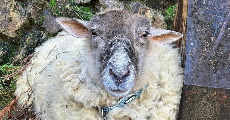 d247e76f5a97da97a9fb87854593ac