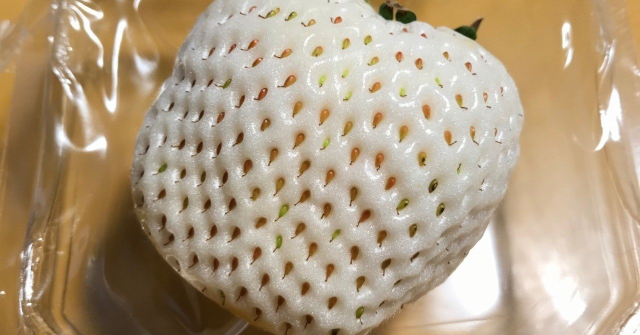 白いイチゴの栽培記録 黒大根くん2 0 Note 白いイチゴの栽培記録 黒大根くん2 0 Note