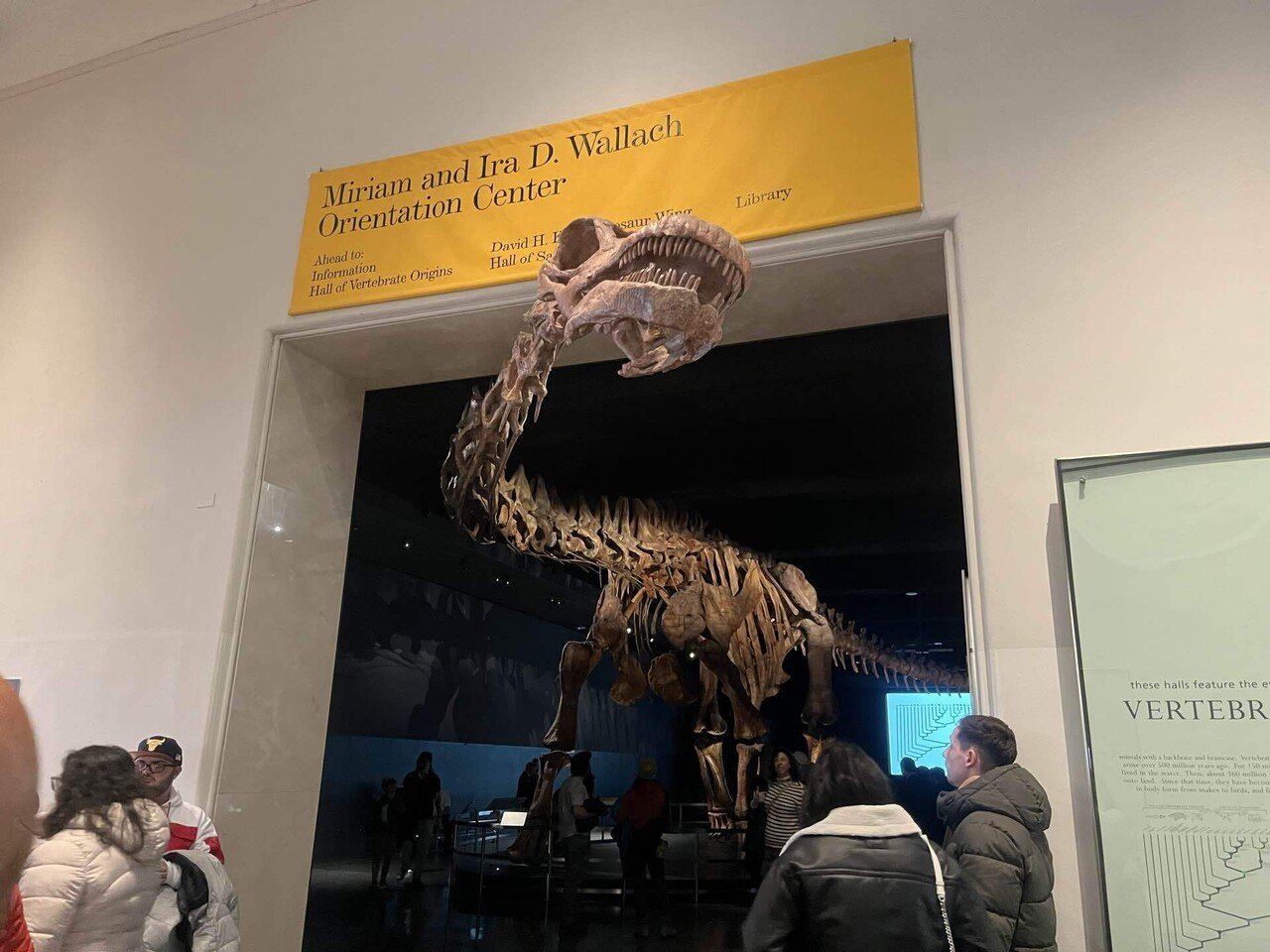 1ドルでアメリカ自然史博物館へ｜クララ