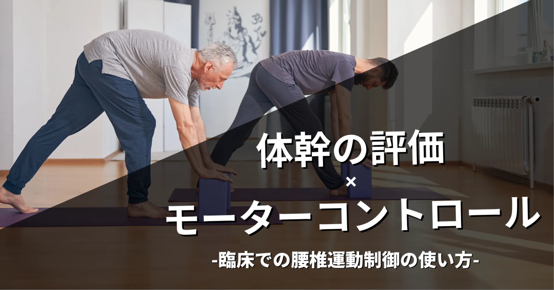 体幹の評価✖️モーターコントロール（腰椎の運動制御）｜小林龍樹