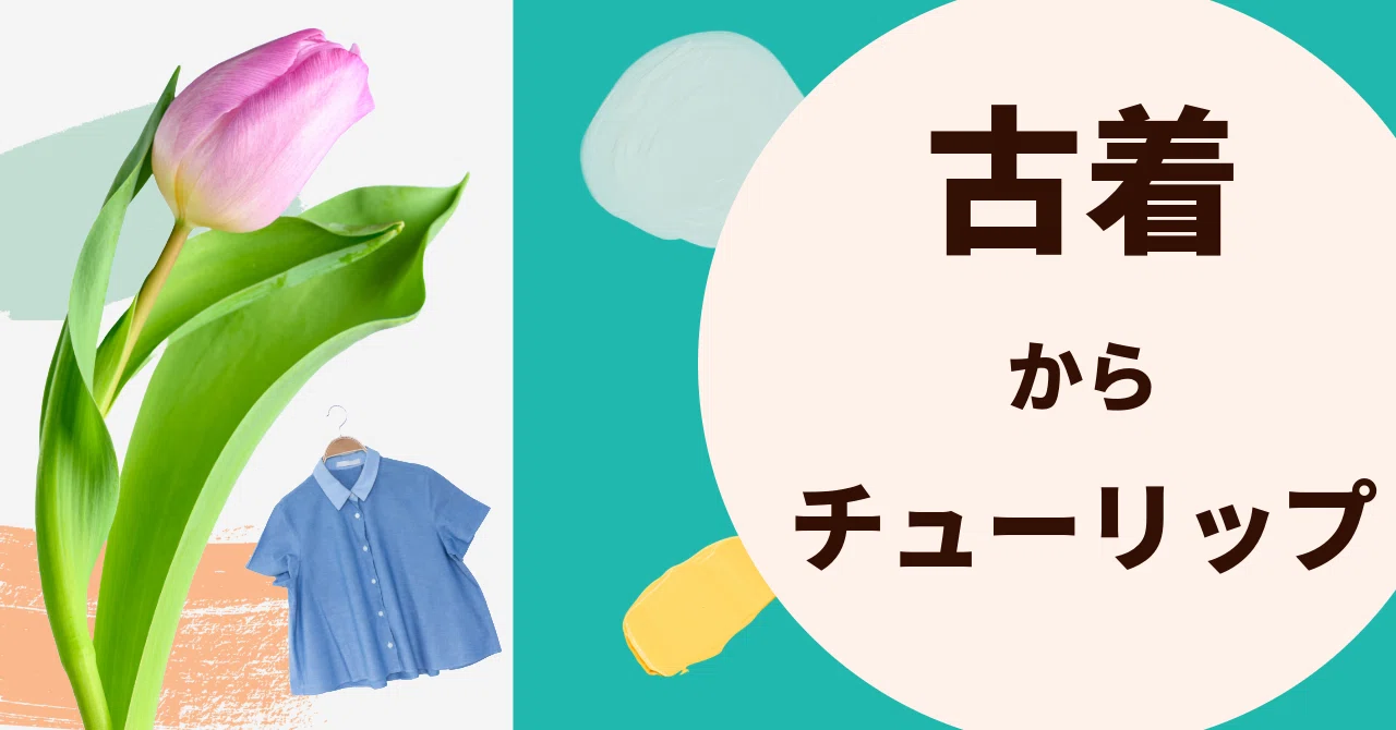 衣類でチューリップ（球根）は育つのか？｜株式会社鈴六