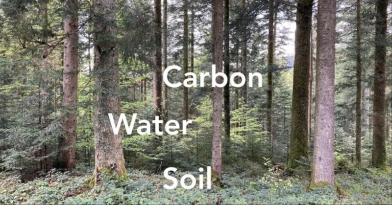 「水」と「土」と「炭素」に関する最新の科学的知見から、なぜ林業でなく森林業なのか?