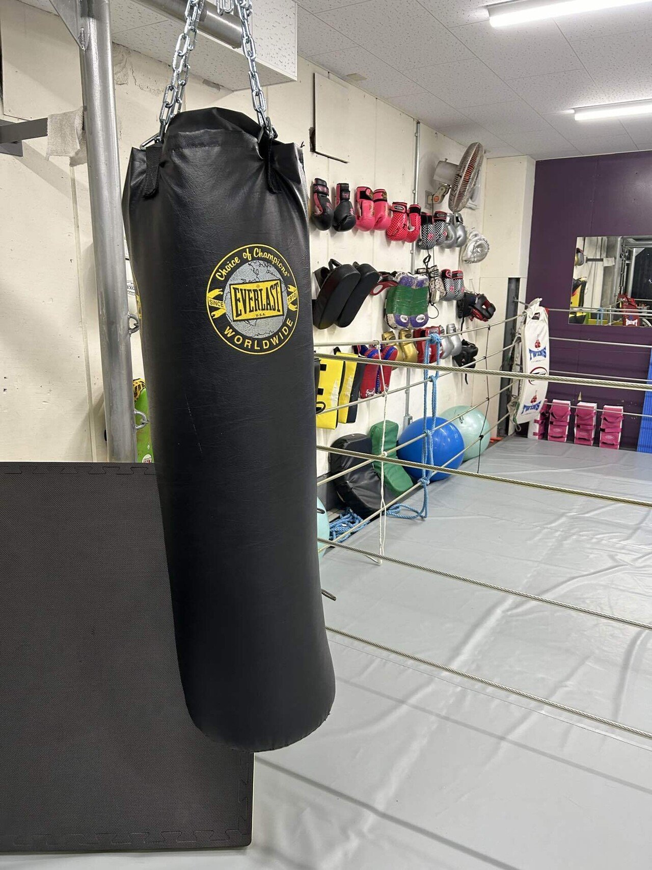 エバーラスト サンドバッグ