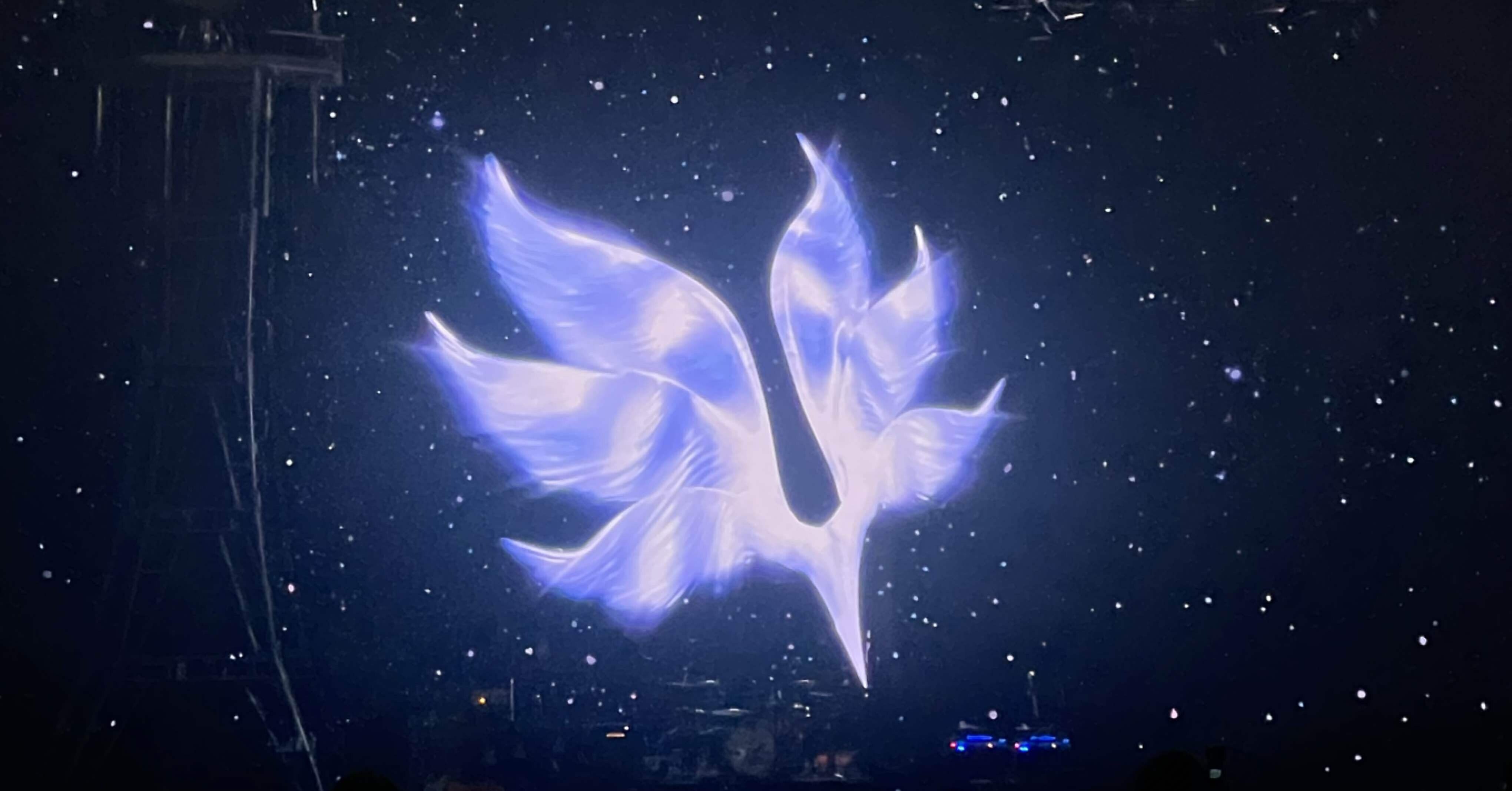 なんでも鑑定団よりも驚き！ 2024.2.24【BUMP OF ライブ ホームシック衛星2024 TOUR CHICKEN ミュージシャン
